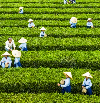上海第六人民医院周边美食推荐 打卡路线 小吃攻略｜我连吃三天胖两斤，但值了😭