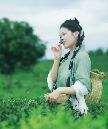 上海品茶聚会网究竟有多火？同城交友新玩法引爆吃喝玩乐攻略圈