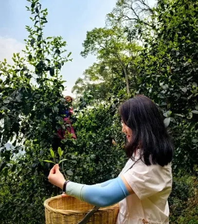 上海深夜面馆哪几家可以加面？大胃王与性价比推荐