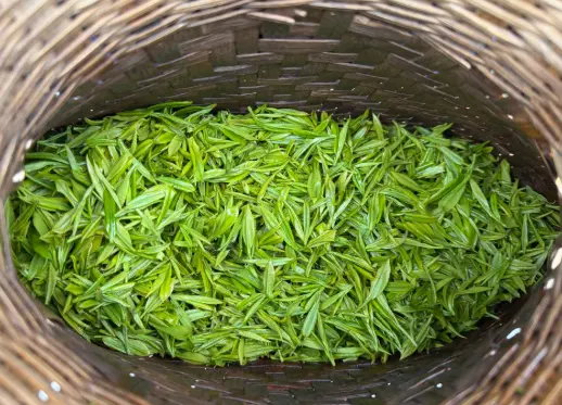 都市情感树洞哪里有？心理咨询与倾诉热线，我劝你别再自己硬扛了😤