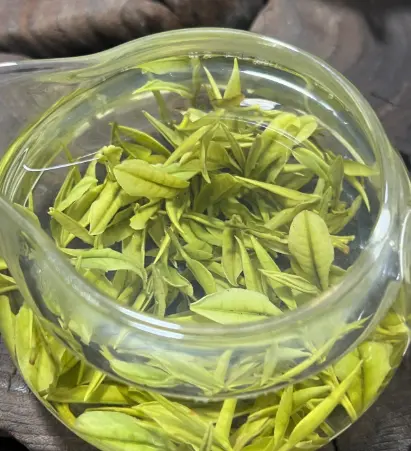 本地茶友会到底有多上头？一场茶会竟让整条街的邻居都端着杯子来了🍵