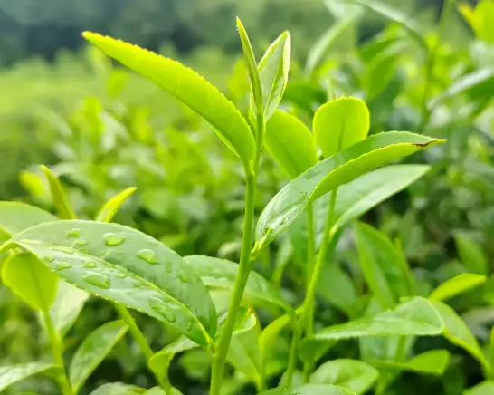 上海外滩美术馆展览攻略：拍照打卡圣地，周边美食别踩雷！