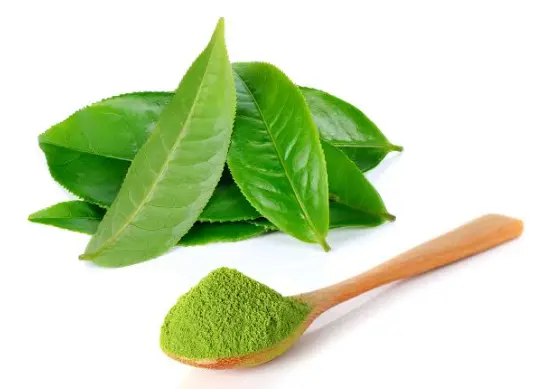 新茶测评第一现场：铁观音春茶凭什么让老茶客集体沸腾？🍵