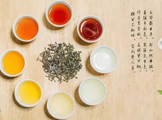 衡山坊创意园区探店｜徐汇衡山路酒吧街现状，老洋房改造后到底值不值得去？😤