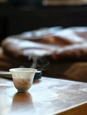 上海思南露天博物馆扫码解锁历史，一场穿越百年的城市漫步等你来